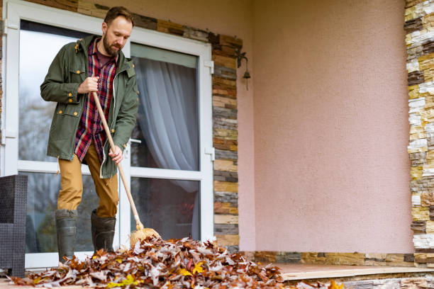 Best Furniture Removal Near Me  in Mahnomen, MN